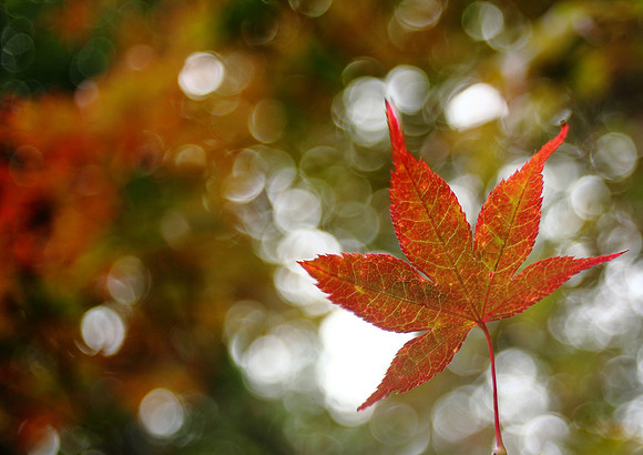 Fall in New England